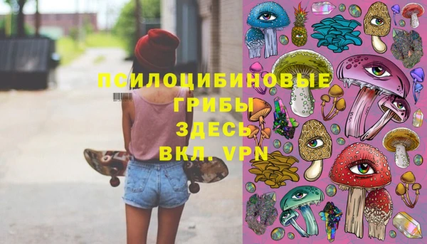 стафф Баксан