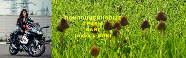 ALPHA-PVP Семилуки