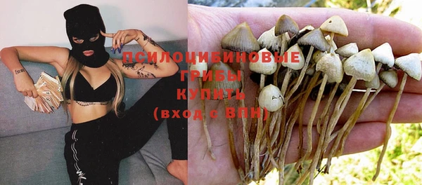 стафф Баксан